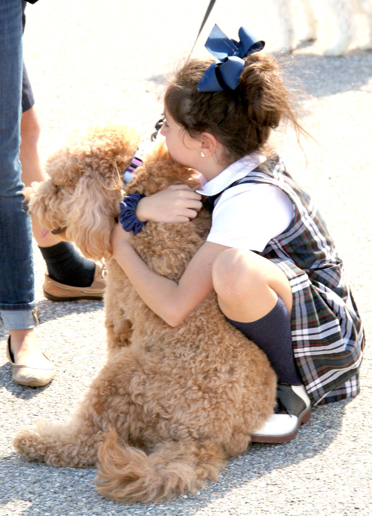 Pet blessing